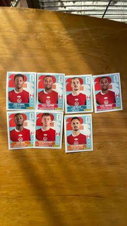 Canada panini sticker