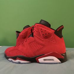 Nike Air Jordan 6 Toro Size 11