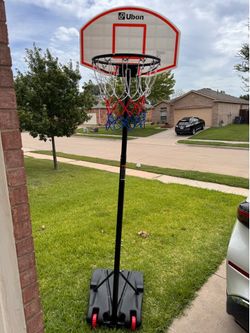 Basketball goal with 2 basketballs