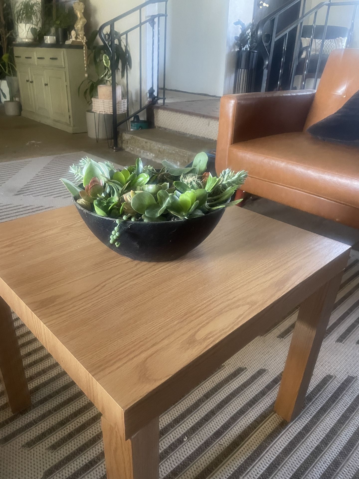 Succulent Arrangement