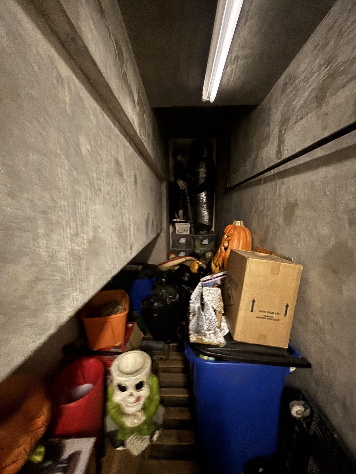 Massive Holiday Decoration Bundle