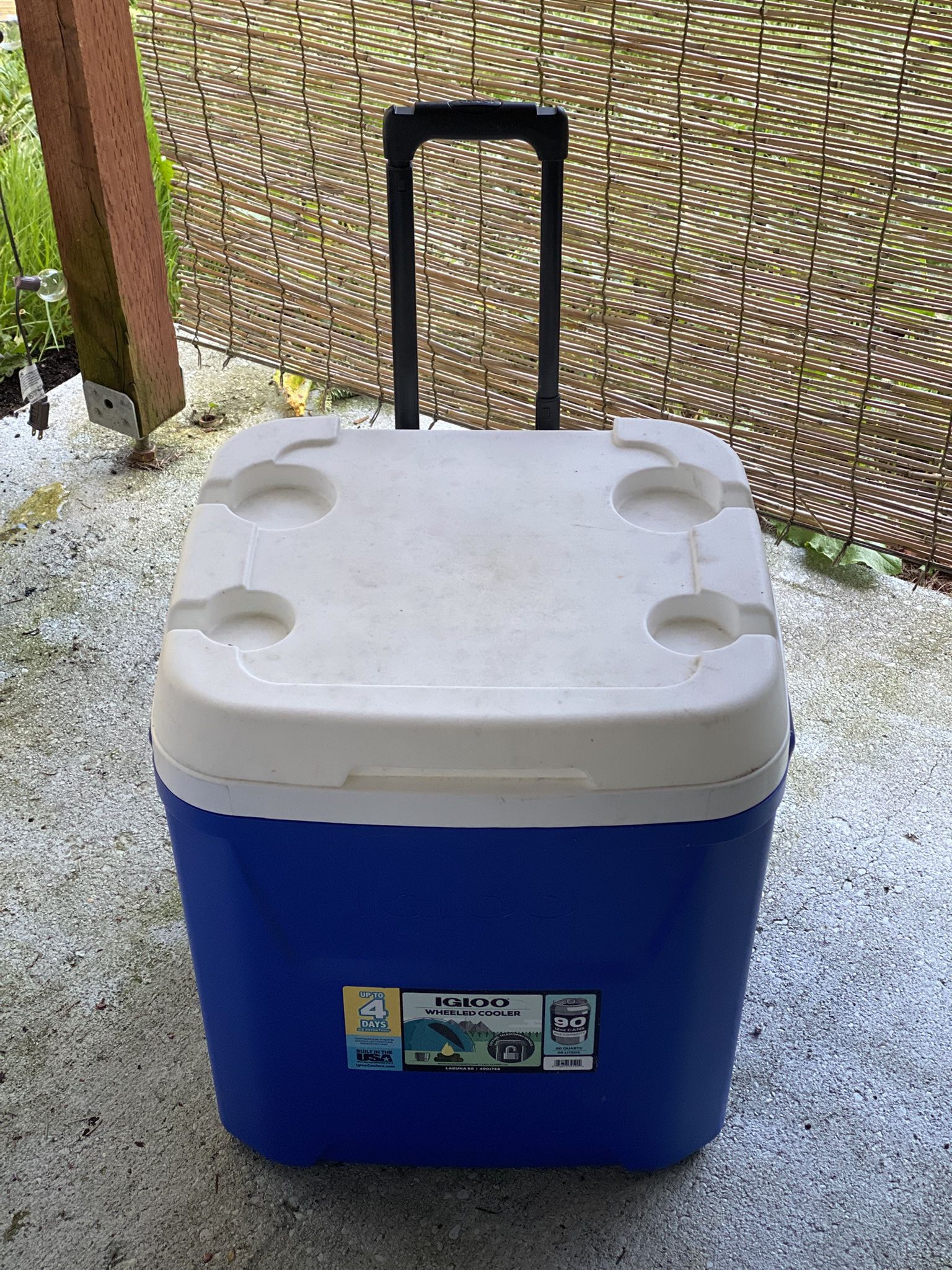 Igloo Cooler