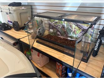 Reptile Tank
