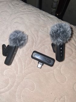 Wireless Mini Microphone 