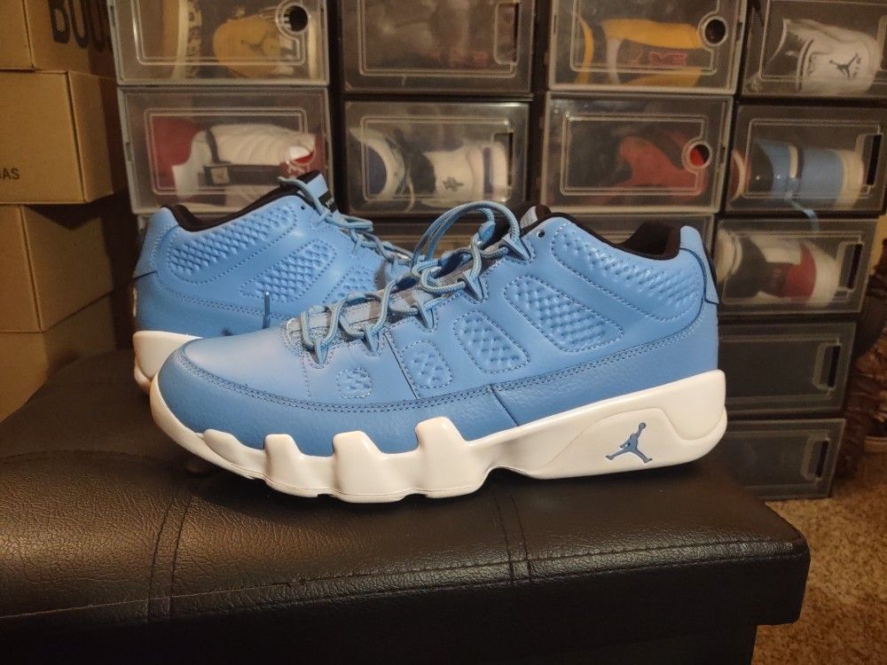 Jordan 9s Low Pantone Sz 10