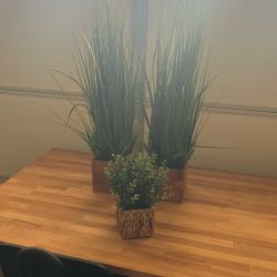 Home Decor - Fake Plants
