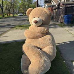 Teddy Bear 
