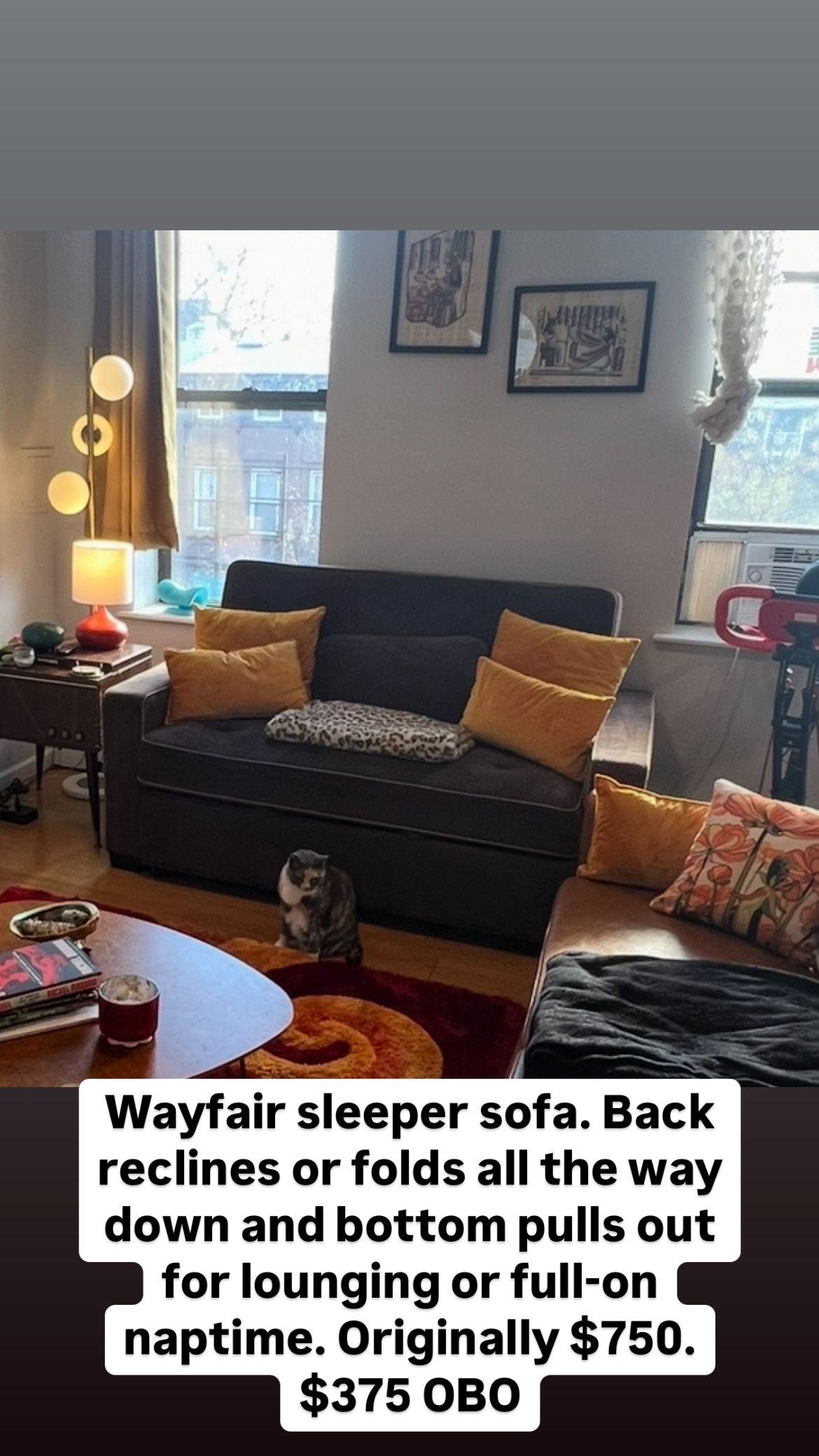 Comfy Cozy Loungey Pull-out Sleeper sofa