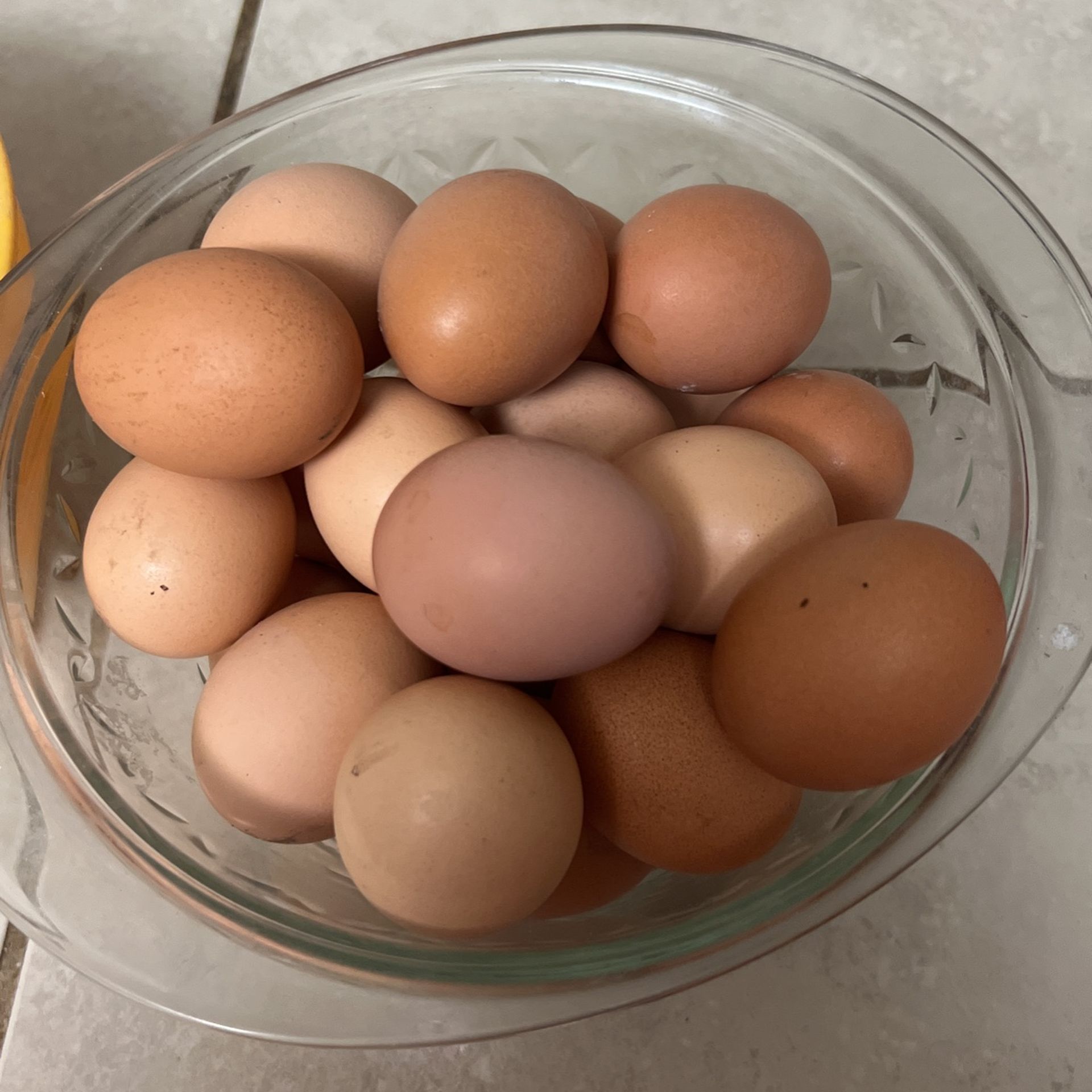 Selling Organic Eggs Dozen