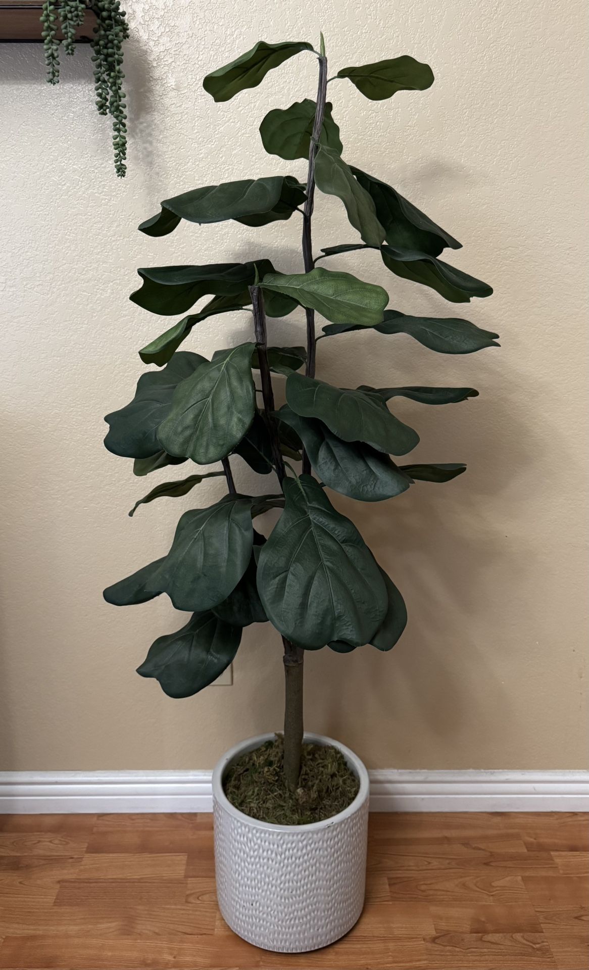Beautiful Artificial Fiddle Leaf Tree w/White Ceramic Pot