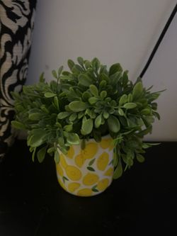 Faux Plant