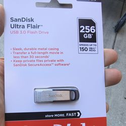 sanDisk 256GB Flash Drive