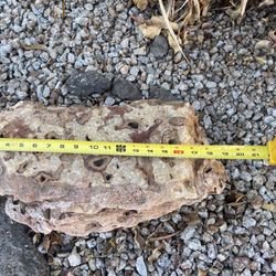 Arizona Seven Springs Onyx Rock Lapidary 
