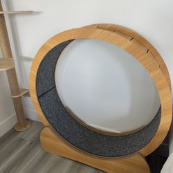 Large cat wheel / treadmill 