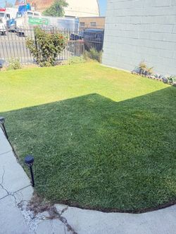 Jardinero