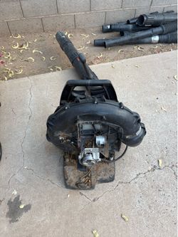 Echo Backpack blower