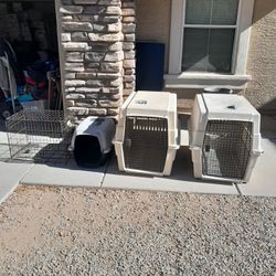Small Pet Dog Cat Crate Or House $15 Each, Large Dog Kennels $35-$40 Each See All Photos 