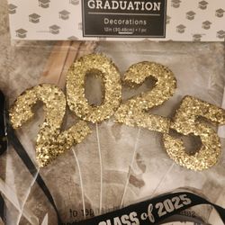 Graduation Party Decor