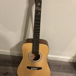 Aria Ariana Acoustic Guitar