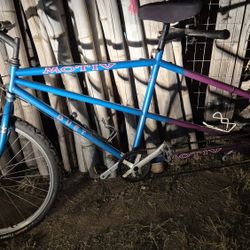 Tandem Motiv Duet 