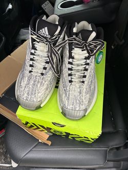 Crazy 1’s Snakeskin size 13