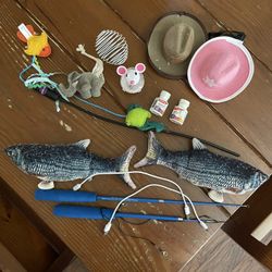 Cat Toys