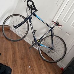 2006 Specialized Roubaix Comp-Team Gerolsteiner-Full Carbon