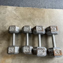 20 and 30 lb dumbbells