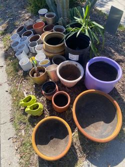 Free planter
