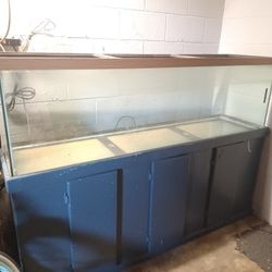 120 Gallon Fish/turtle Tank