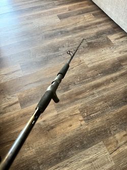 Seeker 60H Jigging Rod (40-80lb)