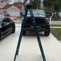 Werner  6 Ft Ladder 