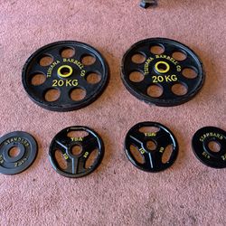 Olympic Weights Plates 120” 