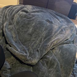 Big Bean Bag 