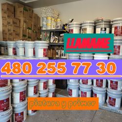 Pintura Y Primer 