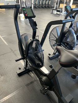 Rogue Echo Bike