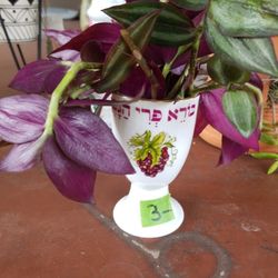 Small cup Wondering Jug
