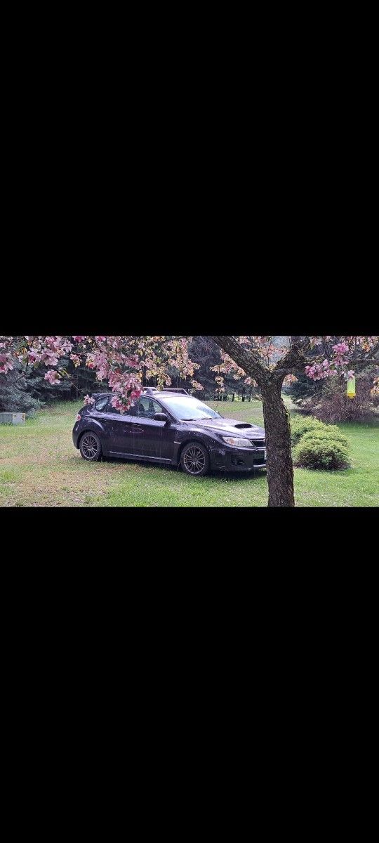 2014 Subaru Impreza WRX