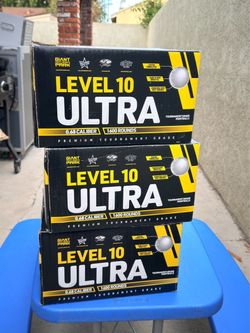 Level 10