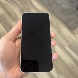Apple iPhone 12  5G  Unlocked 