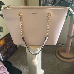 Aldo Fashion Purse 