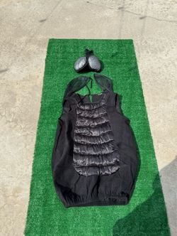 Adult fly Costume
