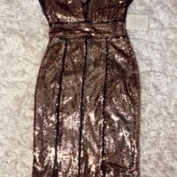 New Boston Proper Sequin Sparkle Dress new with tag size XS 