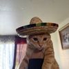 Luis