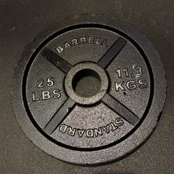 25lb 2” Plates