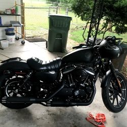 2019 Harley Davidson Iron Sportster 883