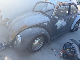 67 parts bug