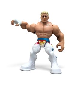 WWE Wrestler Action Figure