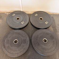 Bumper Weight Plates 35 Lbs And 15 Lbs Home Gym