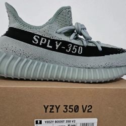 Yeezy Collection All 11.5